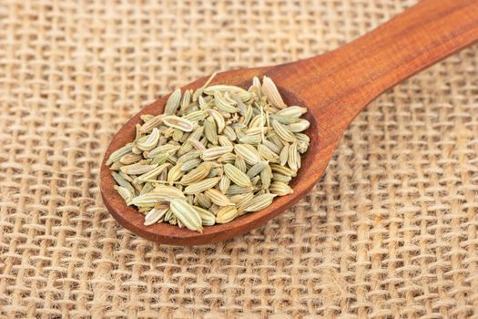 Dry fennel in a small spoon on burlap closeup