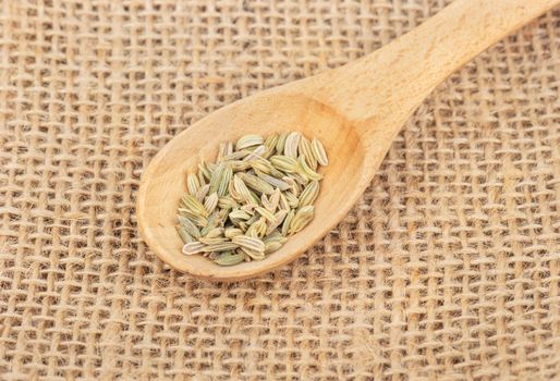 Dry fennel in a small spoon on burlap closeup