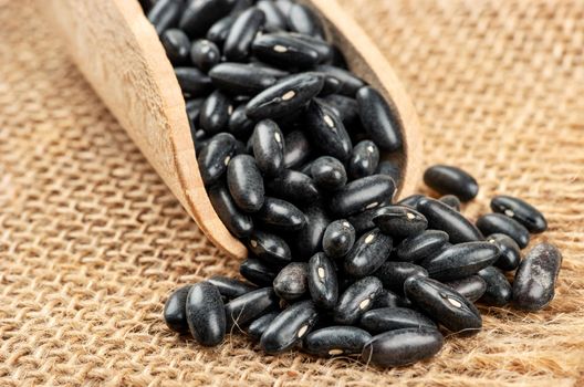 Black beans in wooden scoop on burlap closeup