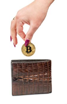 Female hand putting a gold coin in the bitcoin wallet on white background