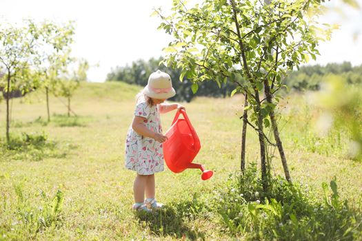 A little cute baby girl 3-4 years old in a dress watering the plants from a watering can in the garden. Kids having fun gardening on a bright sunny day. Outdoor activity children.