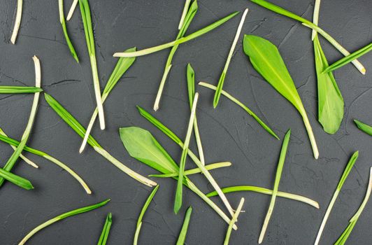 Scattered leaves of fresh wild garlic on a concrete background, top view