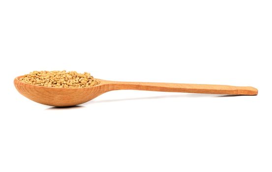 Seeds of fenugreek in wooden spoon on white background