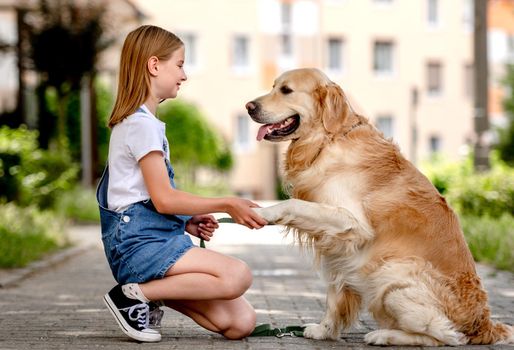 Preteen girl wearing jeans dress with golden retriever dog outdoors in summertime. Purebred fluffy doggy pet giving its paw to pretty kid in city
