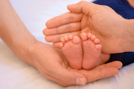 newborn baby feet and hands of parents.