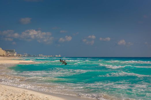 Big Pelican flies over the sea against a blue sky. Blue water color.