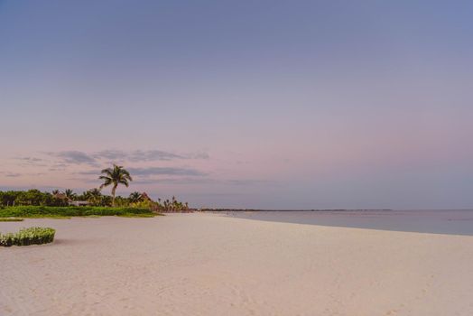 Sea shore on the Caribbean beach in the Area Hoteleria in Cancun Quintana Roo Mexico.