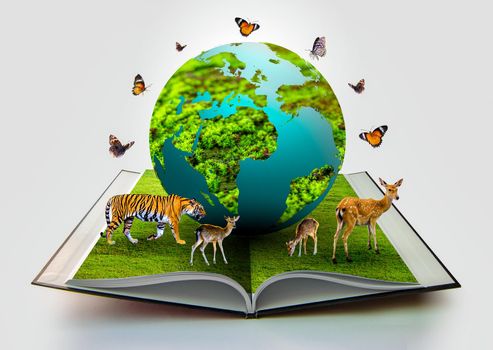 The globe is on the book and there are wild animals such as tigers, deer, and butterflies beside the world.