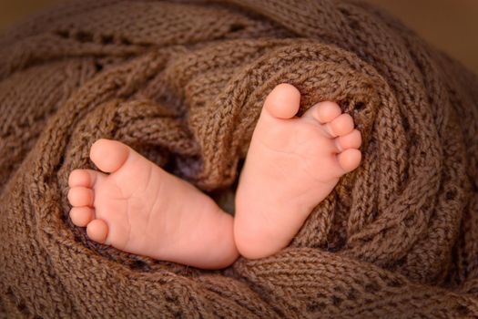 Beautiful little feet of a newborn baby wrapped in a brown knitted piece of cloth.