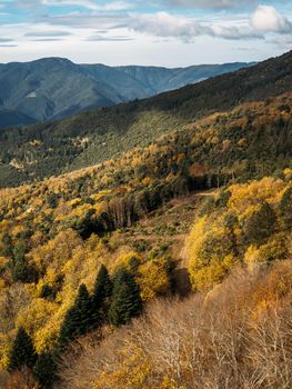 Autumn landscape with mountains and beautiful colored trees in the forest. Wonderful picturesque background