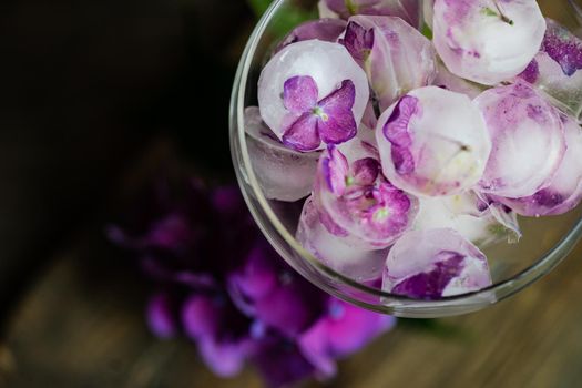 Glass with purple hydrangea flower ice cubes as a refreshing summer drink concept