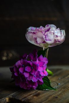 Glass with purple hydrangea flower ice cubes as a refreshing summer drink concept