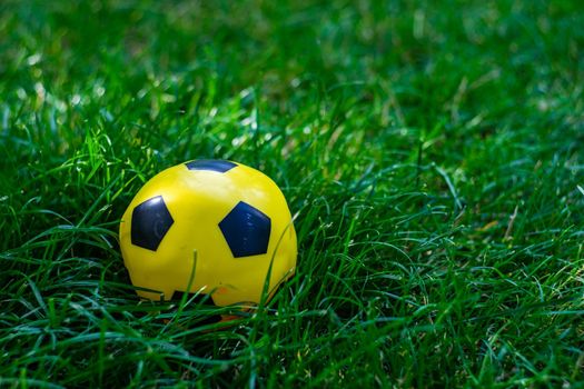 Yellow and black ball in the green grass