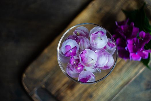 Glass with purple hydrangea flower ice cubes as a refreshing summer drink concept