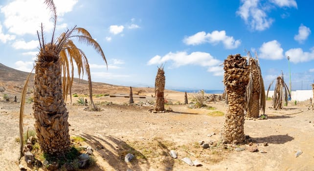 Gran Canaria, Canary Islands, La Isleta peninsula, Montana las Coloradans natural background