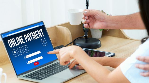 Online payment platform for modish money transfer on the internet netowrk