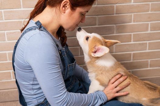 Caucasian woman kissing red welsh corgi puppy