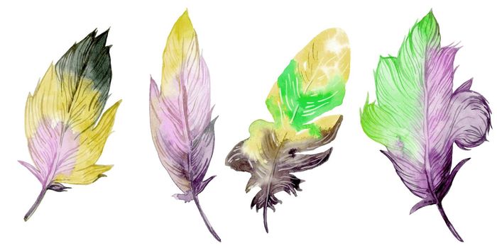 Watercolor hand drawn feathers illustration - boho style elements. Isolated on the white background.