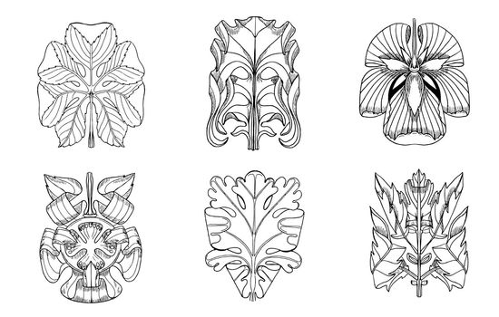Baroque arabesque floral ornaments. Flower and decorative leaves isolated elements. Botanical motif. classic set