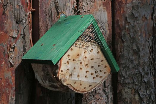 Close-up on a wooden house for insects on a tree