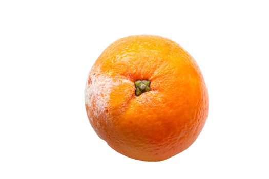 A spoiled orange on a white background. Fruit isolate. Lack of food and fruits. Lack of food for the people. Hunger all over the world