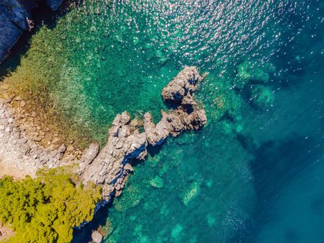 Picturesque sea Adriatic coast of Montenegro. Turquoise Mediteran sea and rocky shore with evergreen coniferous trees. Wonderful summer landscape. Drone.