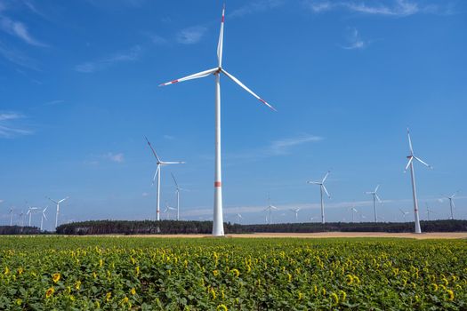 Modern wind energy turbines with blue skies seen in Germany