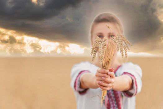girl with wheat in her hands against the background of a field and a sunset sky