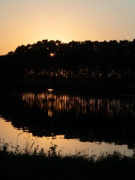 golden hour at the river bank in summer time