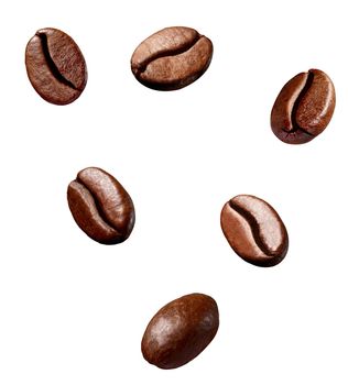 collection of various coffee bean on white background