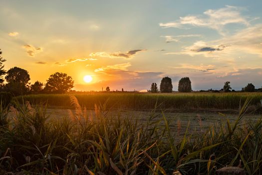 Magnificent sunset over the fields landscape in summer season