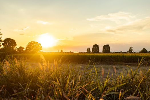 Magnificent sunset over the fields landscape in summer season