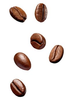 collection of various coffee bean on white background