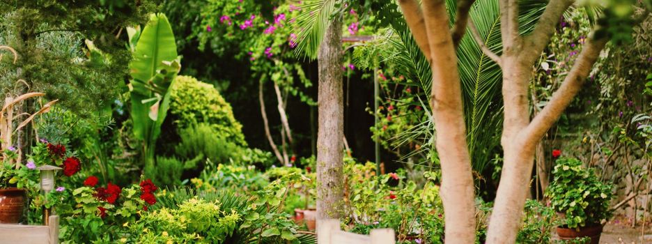 Beautiful tropical garden, flowers and trees in summer, nature and gardening concept