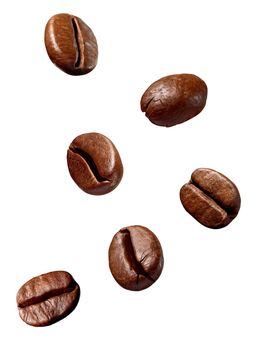 collection of various coffee bean on white background