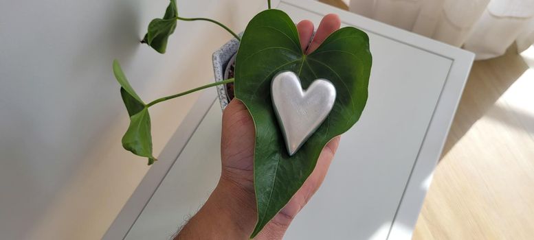 romantic background of iron shiny heart with marble and leaf