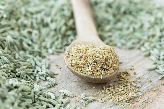 Wooden spoon with fennel pollen surrounded by fennel seeds