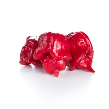 Carolina Reaper pepper isolated on a white background