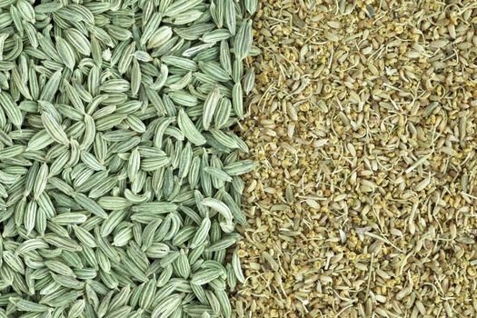 Fennel seeds and pollen spliting image in the middle, for texture or background.