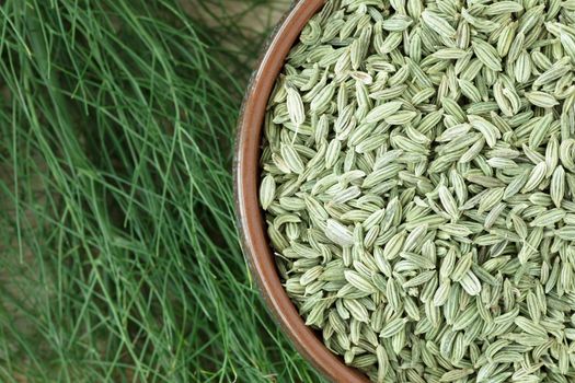 Flat lay of fennel seeds in bowl with fennel greens