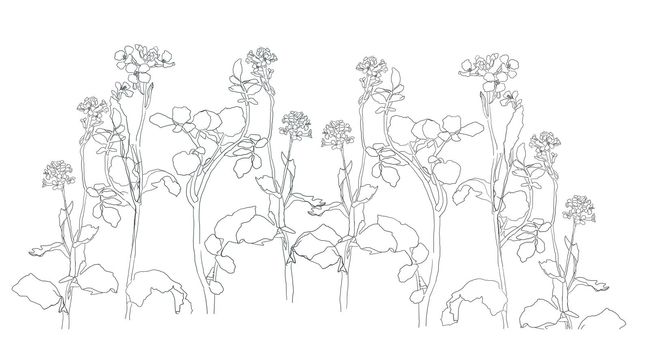 Botanical Modern Single Line Art, Aesthetic Contour. Perfect for Home Decor, Wall Art Posters, or t-shirt Print, Mobile Case. Continuous Line Drawing of Flowers.