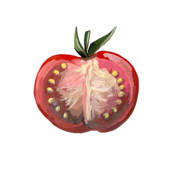Isolated tomato, sliced piece vegetables on branch. Artistic style illustration. Detailed vegetarian food sketch. Farm market product. Great for label, banner, poster