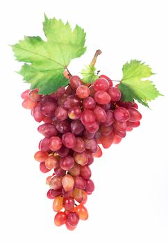 grapes bunch isolated on the white background