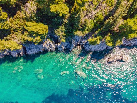 Picturesque sea Adriatic coast of Montenegro. Turquoise Mediteran sea and rocky shore with evergreen coniferous trees. Wonderful summer landscape. Drone.