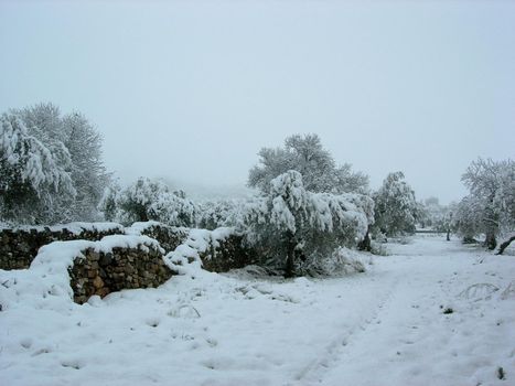 Snowy landscape in which you can see a stone wall.