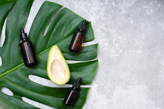 Serum with avocado oil on a tropical leaf with copy space. Avocado oil in glass bottle with dropper.