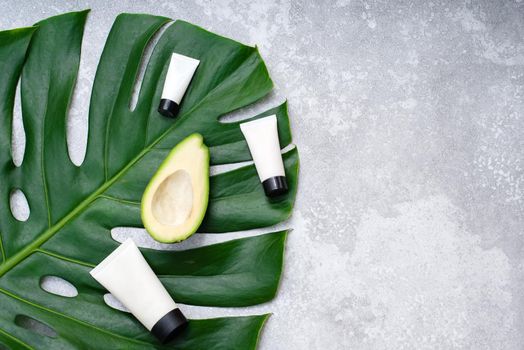 Moisturizing cream with avocado oil on a tropical leaf with copy space. Cream with mock up