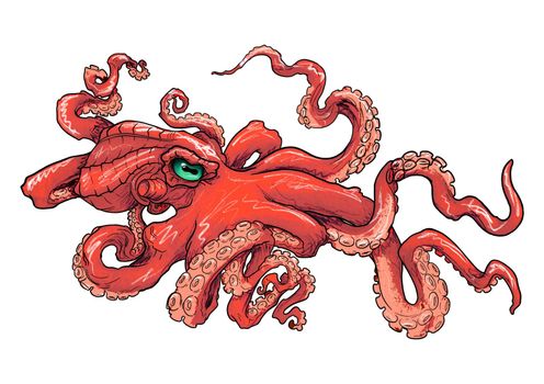 sketch of an octopus contour with shadows in color for a tattoo on the background illustration