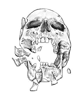 black and white drawing of a skull with shadows. High quality photo