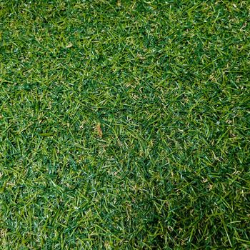 green lawn background with rustic texture of brazil image